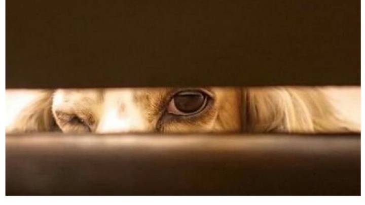 OS大比拼 Win10性能输给Linux【太阳成集团tyc7111cc】(图2) 太阳成集团tyc7111cc