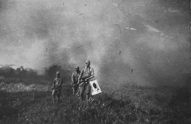 太阳成集团tyc7111cc-Office 2019价格公布:北美149.99美元起(图4) 太阳成集团tyc7111cc