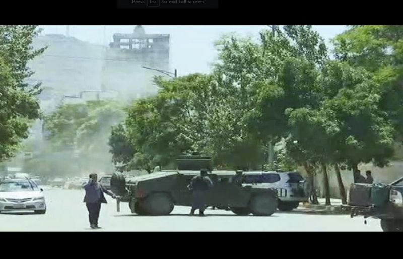 海葵可以吃吗?营养价值如何?饲养海葵的技巧有哪些?_太阳成集团tyc7111cc(图4) 太阳成集团tyc7111cc