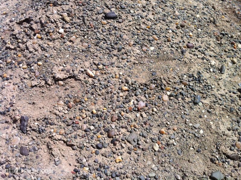 ‘太阳成集团tyc7111cc’云南:云南古城区2016年新型职业农民培育村级资产管理人员培训班开班(图3) 太阳成集团tyc7111cc