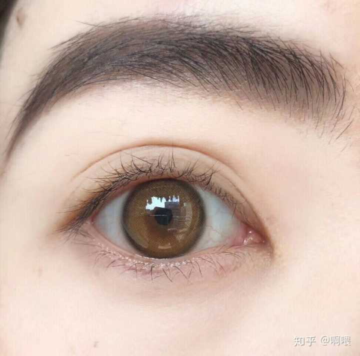 太阳成集团tyc7111cc