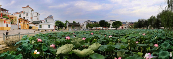 《哥斯拉2》会引进内地吗?官方宣布确定引进-太阳成集团tyc7111cc(图2) 太阳成集团tyc7111cc