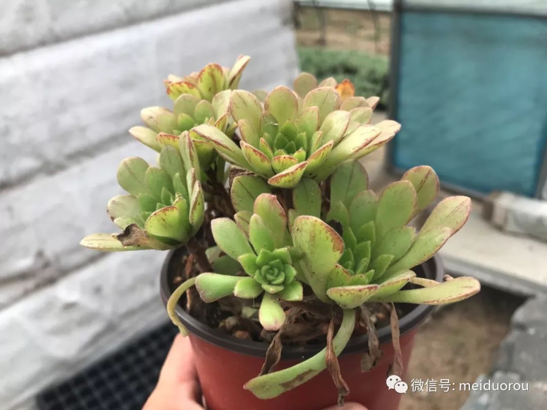 太阳成集团tyc7111cc