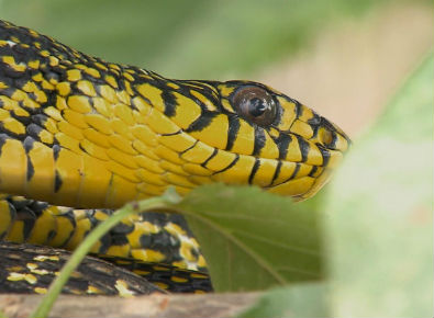 太阳成集团tyc7111cc