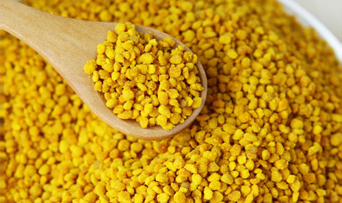 太阳成集团tyc7111cc