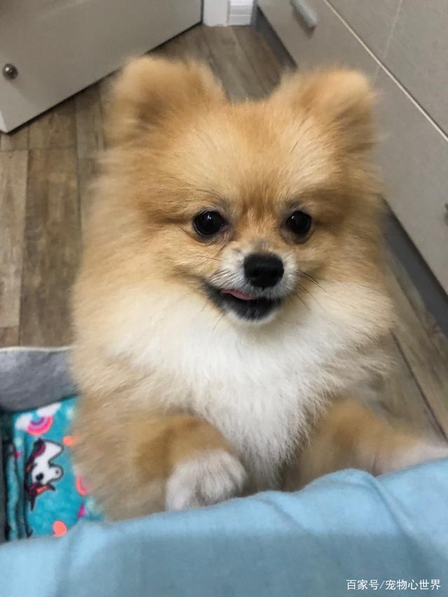 太阳成集团tyc7111cc