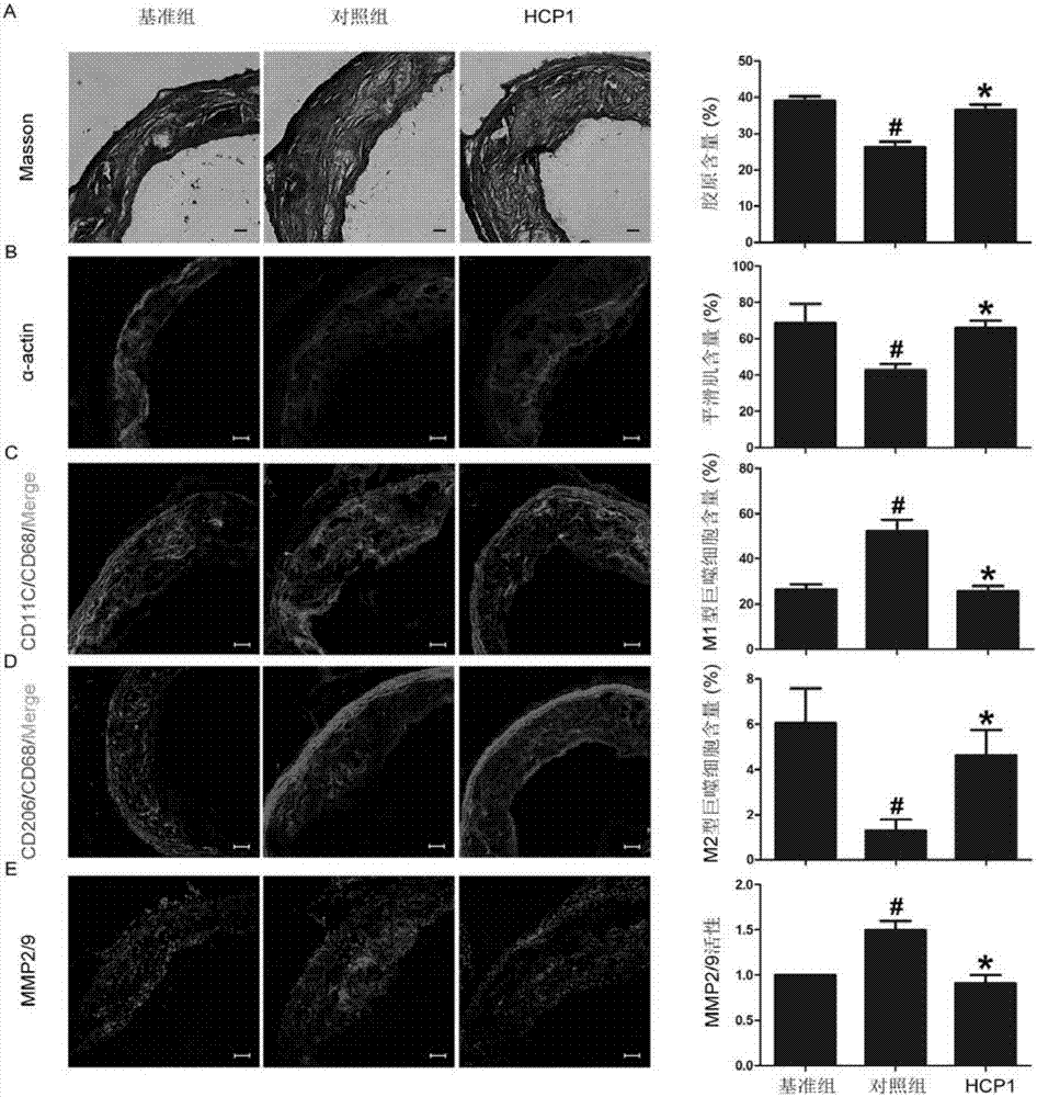 太阳成集团tyc7111cc