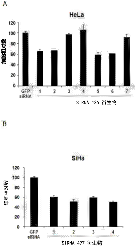 太阳成集团tyc7111cc