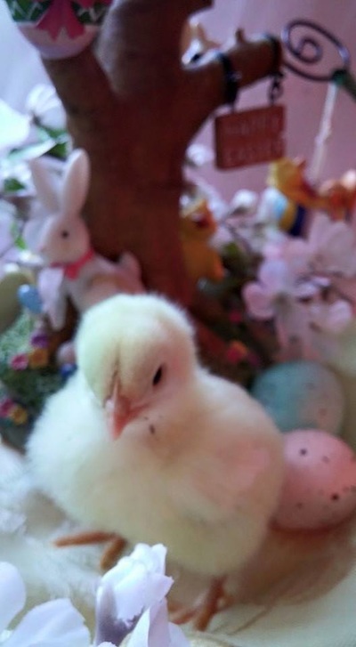 太阳成集团tyc7111cc