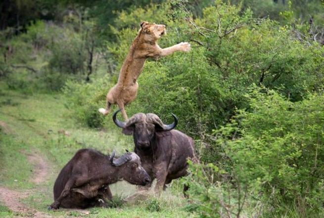 太阳成集团tyc7111cc